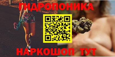 дурь Аша