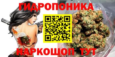 бошки Ачхой-Мартан