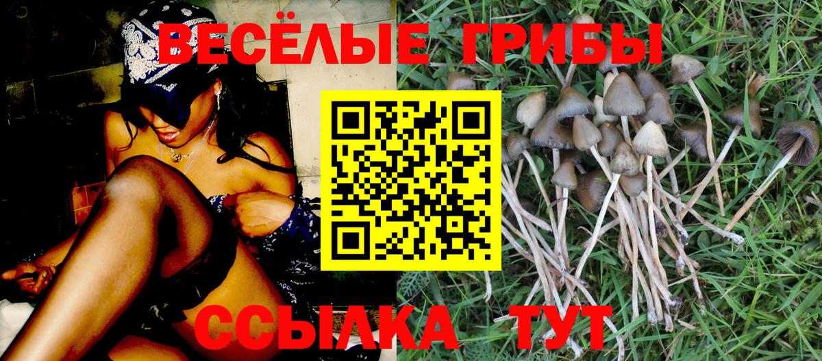 Галлюциногенные грибы Cubensis  Вход с VPN  цена наркотик  Псилоцибиновые грибы MAGIC MUSHROOMS  Воронеж 